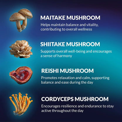 Mushroom Gummies Lion's Mane and Reishi for Cognitive Clarity 60 Gummies